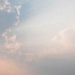 Todo lo que debes saber sobre la ILUMINACIÓN que necesitan las suculentas – cuándo, cómo y cuánta