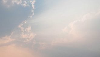 iluminacion-suculentas-succulent-lighting