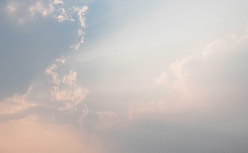 iluminacion-suculentas-succulent-lighting